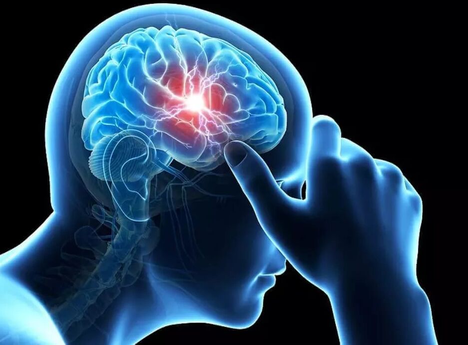 O efecto do alcol no cerebro